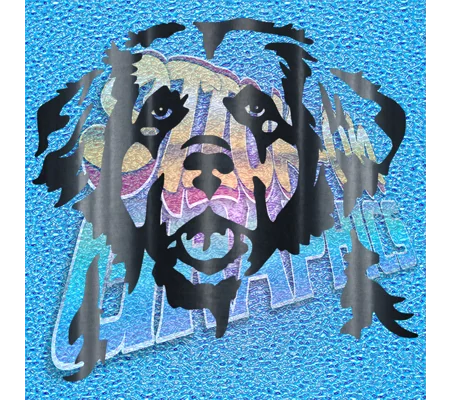 New Foundland / Leonberger