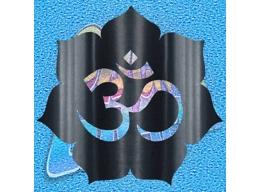 Om 003