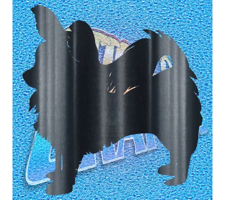 Papillion 003