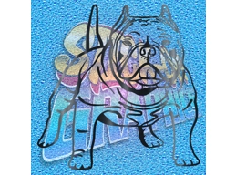 Pocket Bulldog 005