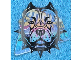 Pocket Bulldog 006
