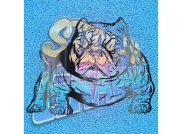 Pocket Bulldog 008