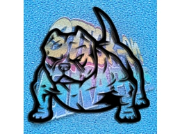 Pocket Bulldog 011