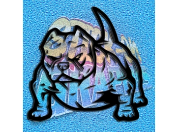 Pocket Bulldog 011