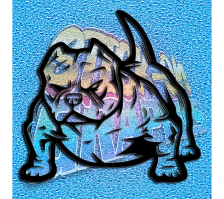 Pocket Bulldog 011