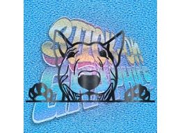 Hiding English Bull Terrier