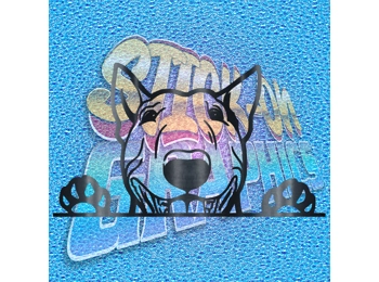 Hiding English Bull Terrier