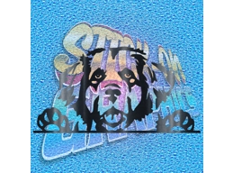 Hiding New Foundland