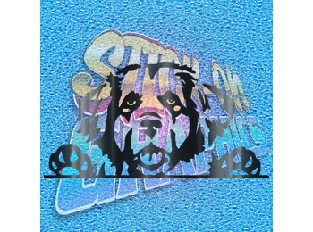 Hiding New Foundland