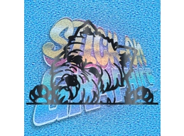 Hiding West Highland