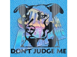 Pitbull Dont Judge