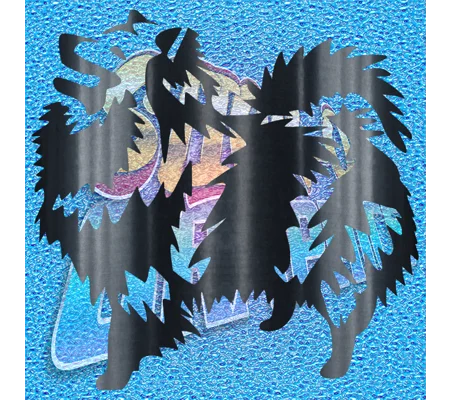 Pomeranian 002