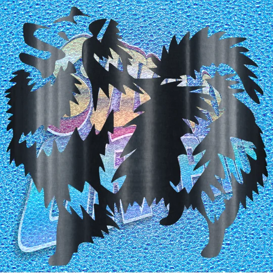 Pomeranian 002