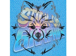 Pomeranian 005