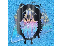 Pomeranian 006