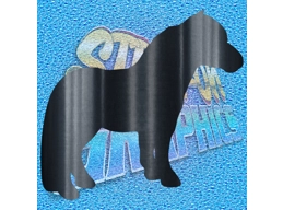 Pony 001