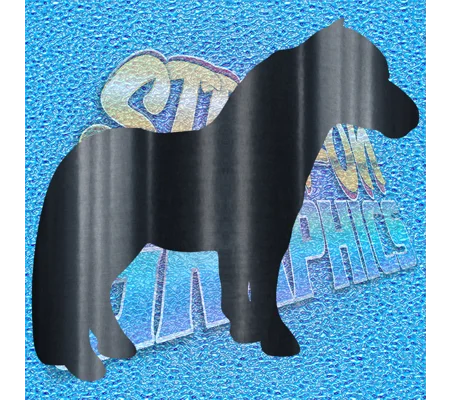 Pony 001
