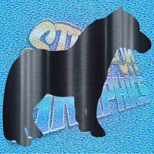 Pony 001