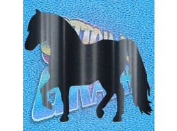 Pony 002