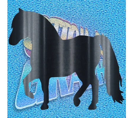Pony 002