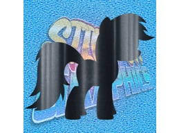 Pony 003