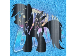 Pony 004