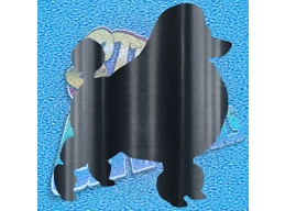 Poodle