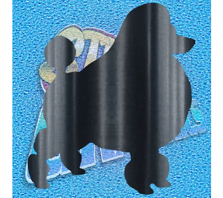 Poodle