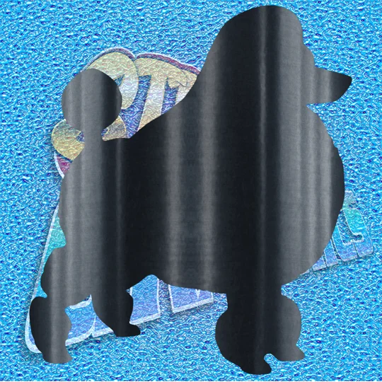 Poodle