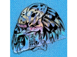 Predator Head 002