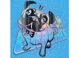 Pug 001