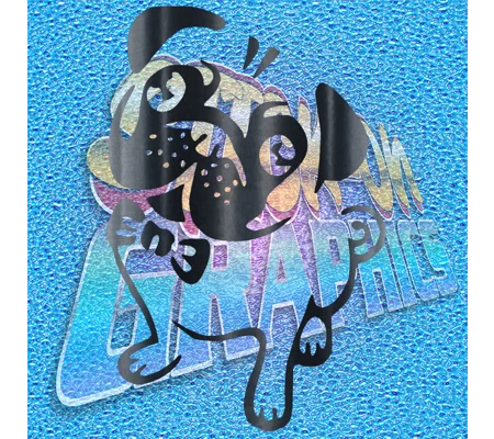 Pug 001
