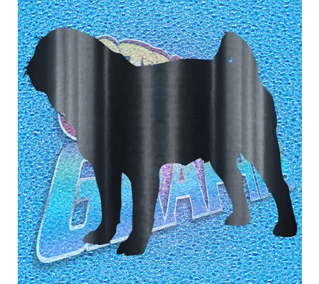 Pug 011