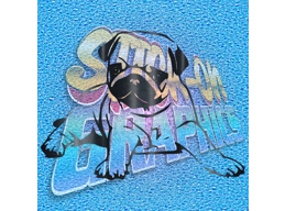 Pug 012