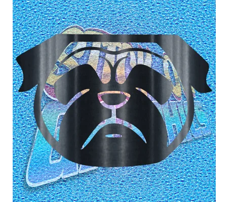 Pug 013