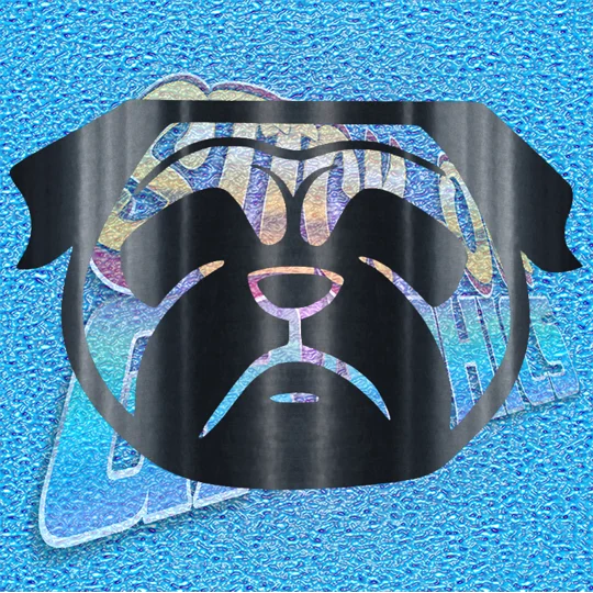 Pug 013