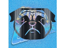 Pug 013 b