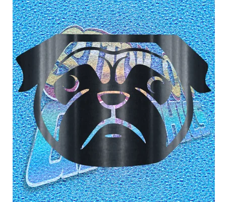 Pug 013 b