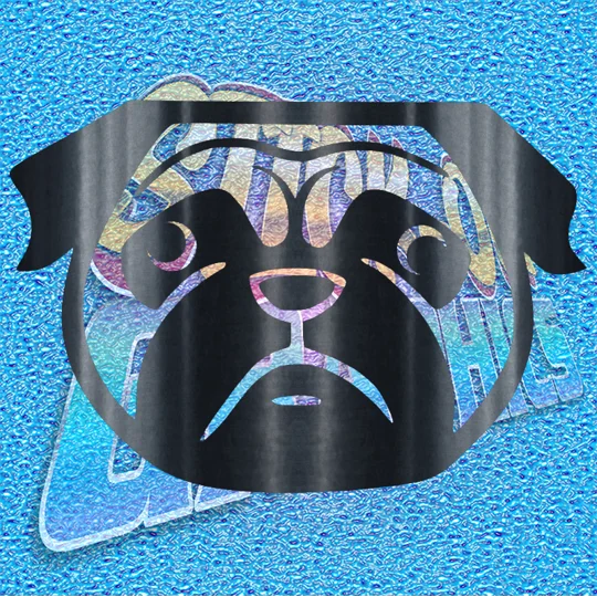 Pug 013 b