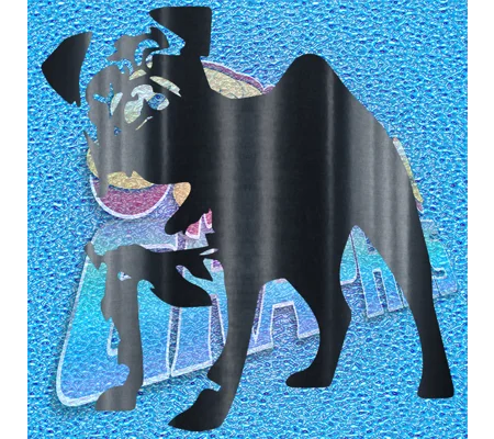 Pug 014