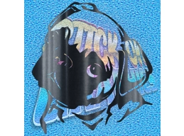 Pug 015