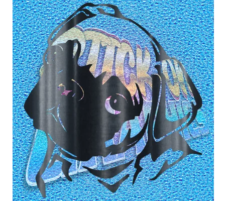 Pug 015