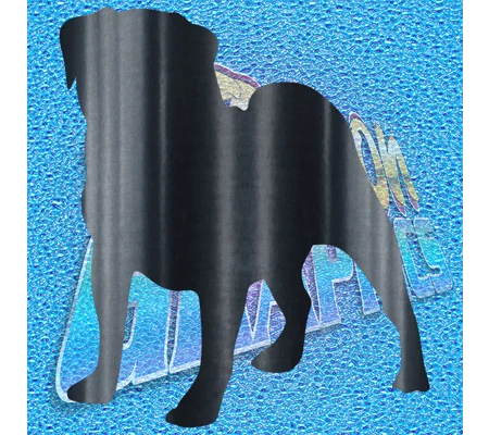Pug 002