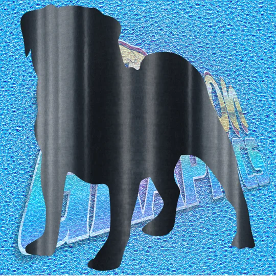 Pug 002