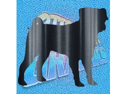 Pug 003