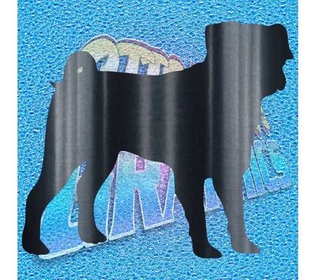Pug 003