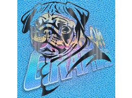 Pug 005