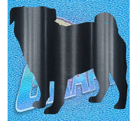 Pug 007