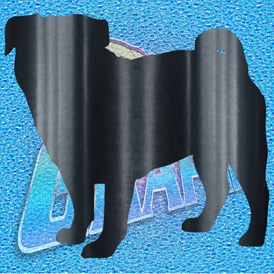 Pug 007