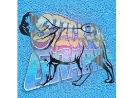 Pug 008